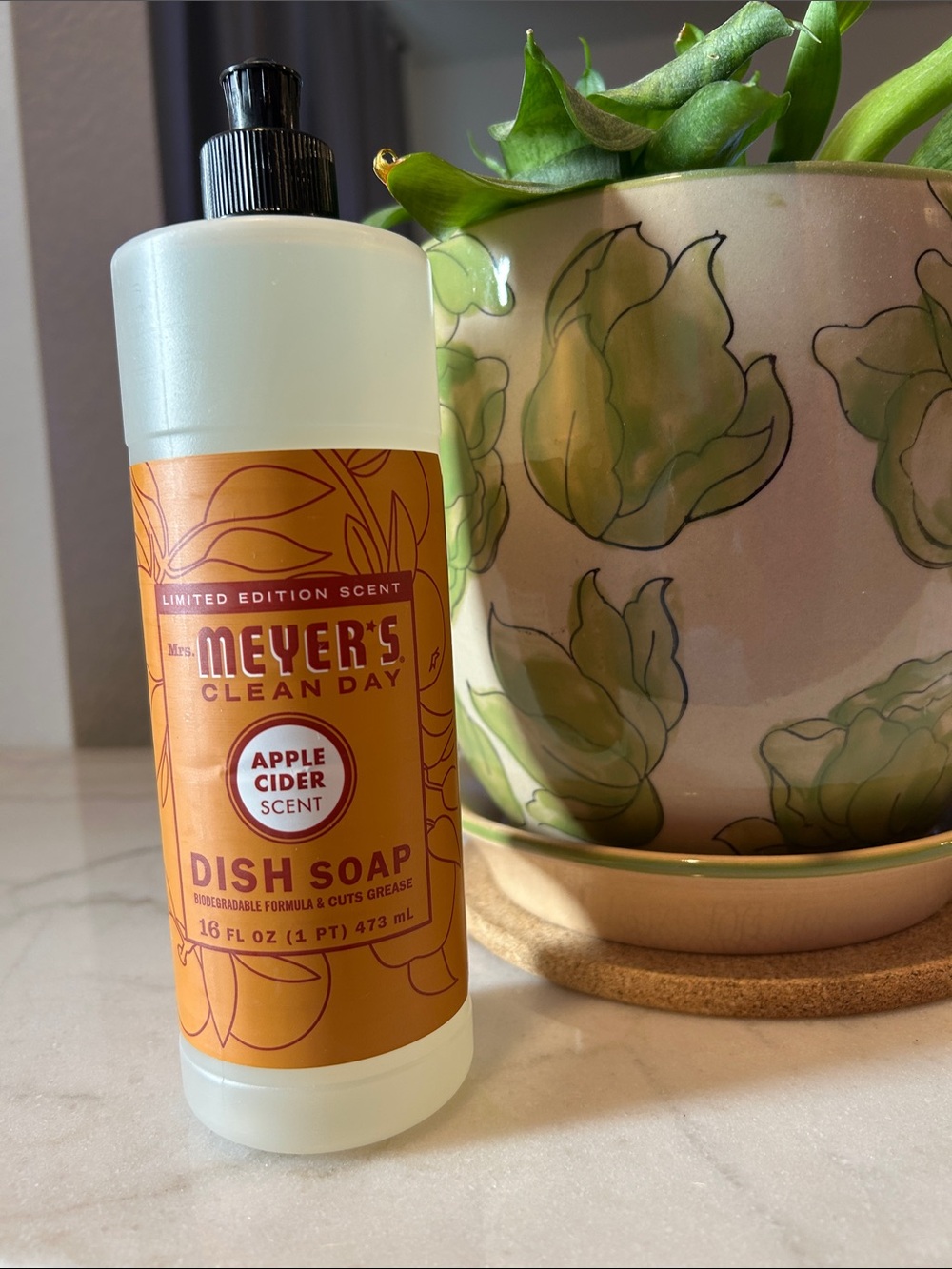 Meyer's Apple Cider Dish Soap - 16oz